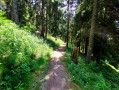 Les bois de Prapoutel