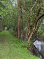 Les bords de G&egrave;res