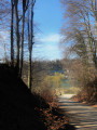Les bords de la Sarine