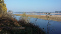 Les bords de Loire à Parnay