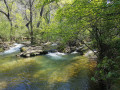 Saint-Probace - Gorges du Caramy à Tourves