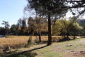 Les bords du lac