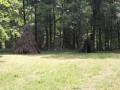 Les Carcahoux