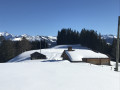 Les Carrés