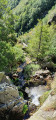 les cascades