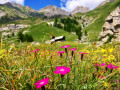 Les Granges et les Chalets de Furfande