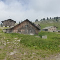Les chalets des Auges Les chalets des Auges