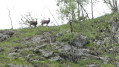 La source de la Saine La source de la Saine