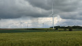 Les champs aux &eacute;oliennes