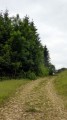 Les chemins du Mont des Princes