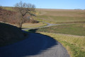 Les chemins forment de belles sinusoïdes