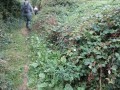 Les chemins