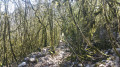 Les chemins Les chemins