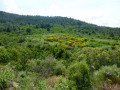Les Corbières