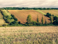Les coteaux de Bondigoux