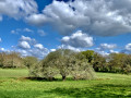 Les couleurs de la campagne bretonne Les couleurs de la campagne bretonne