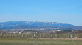 Les crêts du Pilat