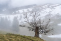 Roche Parnal en traversée depuis Morat