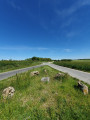 Les cromlechs