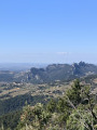 Les dentelles de Montmirail et Suzette Les dentelles de Montmirail et Suzette