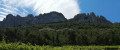 Les dentelles de Montmirail