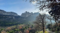 Les Dentelles Sarrasines