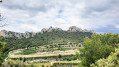 Les dentelles Sarrasines