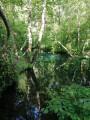 les eaux bleues