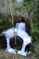 les eaux du moulin