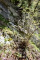 Les echelles de Charminelle