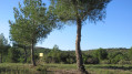 Les Esclades