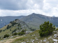 Collada del Vent - Puig de la Collade Verda - Collada de Roques Blanques