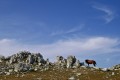 Les Esquerdes de Rotja