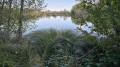 Bois et marais à Passins Bois et marais à Passins