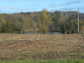 Les étangs de St Flour