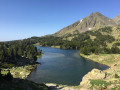 Les étangs des Camporells