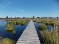 Entre forêts et paysage de steppes à Ternell