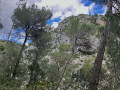Les falaises d'escalade
