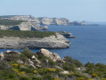 Les falaises de Bonifacio