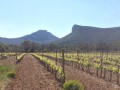 Les falaises font face au Pic Saint Loup