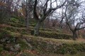 Les faysses aux châtaigniers