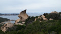 Le Monte Zoppu en boucle au départ de Cala Liccia