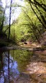 Les gorges de la Brême