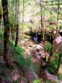 Les gorges de la Brême