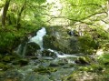 Les Gorges de la Canche Les Gorges de la Canche