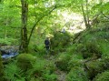 Les Gorges de la Canche