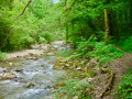 Les gorges de la Leysse Les gorges de la Leysse