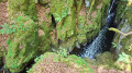 the Seebach Gorges