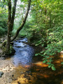 Les Gorges du Verger à Bourganeuf