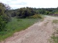 Les grandes voies carrossables sur la garrigue